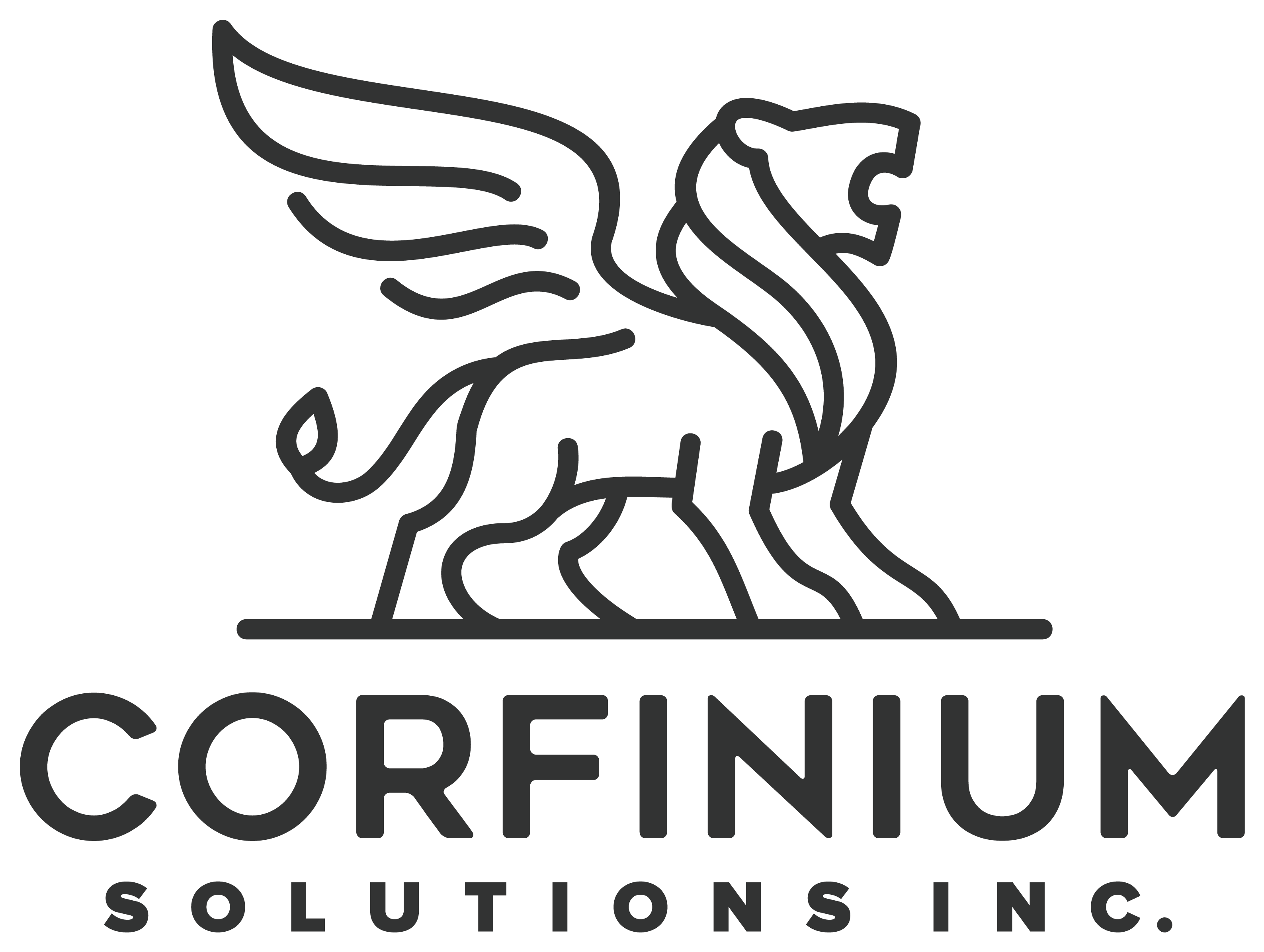 Corfinium Solutions Inc logo